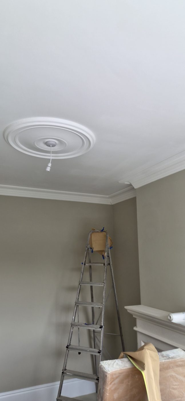 Ceiling and coving decoration